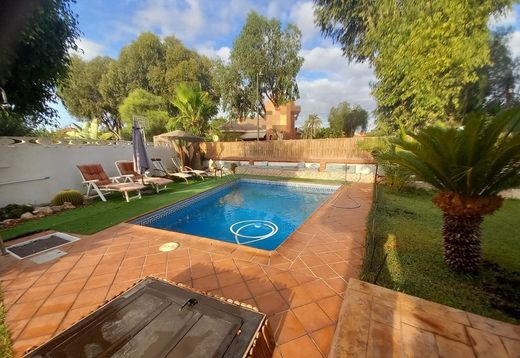 Detached House in San Vicent del Raspeig, Alicante
