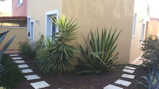 Adeje, サンタ・クルス・デ・テネリフェの高級住宅