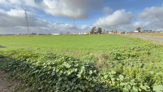 Terreno a Gibraleón, Provincia de Huelva
