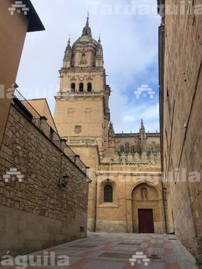 Apartament w Salamanka, Provincia de Salamanca
