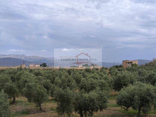 sa Pobla, Illes Balearsの土地