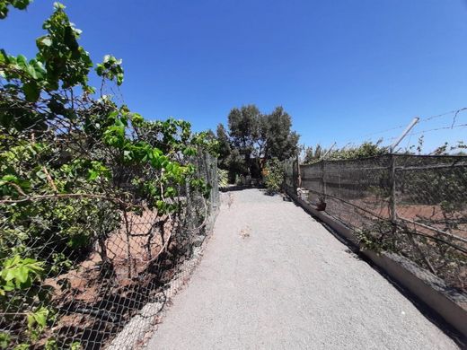 Rural ou fazenda - Ingenio, Provincia de Las Palmas