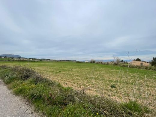 Land in Montuïri, Province of Balearic Islands