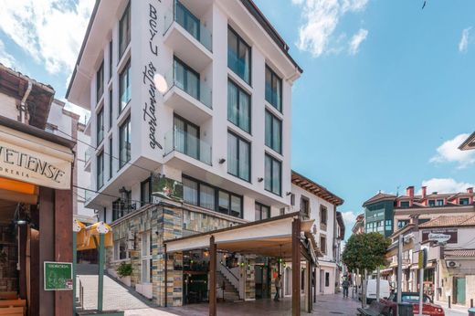 Hotel en Cangas de Onís, Asturias