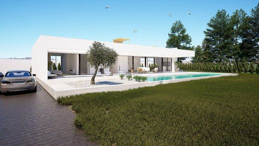 Villa en Playas de Orihuela, Provincia de Alicante