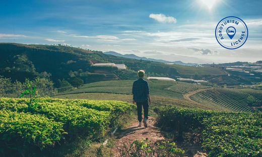 Hotel in Sant Antoni de Portmany, Balearen