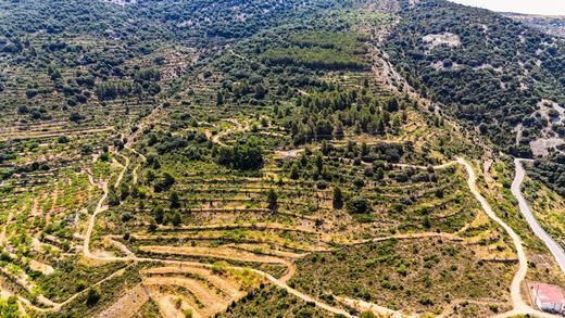 Land in Sierra-Engarcerán, Castellon