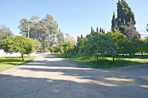 Ρουστίκ ή Αγροικίες σε Jerez de la Frontera, Provincia de Cádiz