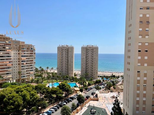 Apartment in El Campello, Alicante