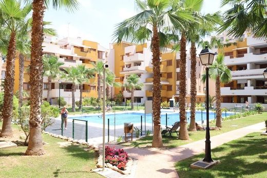 Apartment in Torrevieja, Alicante