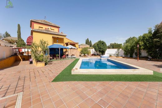 Detached House in Albolote, Granada