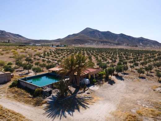 토지 / Tabernas, Almería