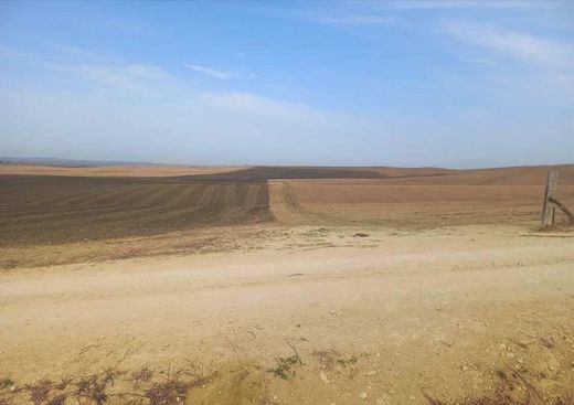 Grond in Tarifa, Provincia de Cádiz