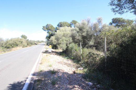 Grundstück in Llucmajor, Balearen Inseln