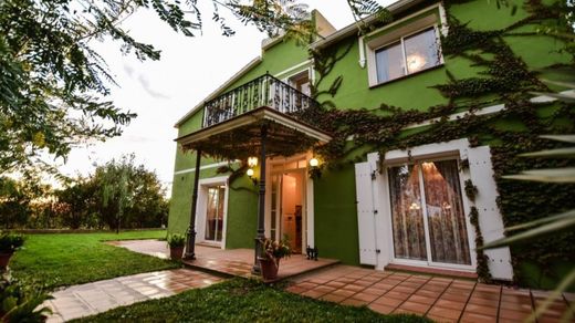 단독 저택 / Banyeres del Penedès, Província de Tarragona