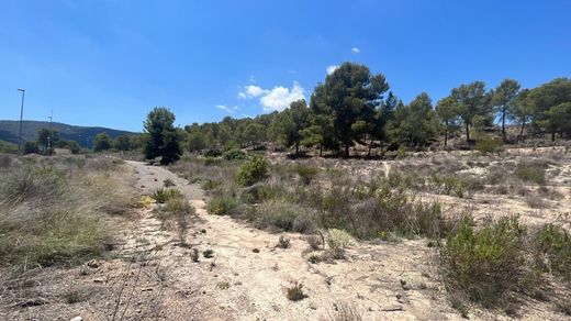 Αγροτεμάχιο σε Murcia, Región de Murcia