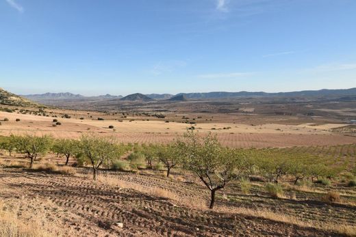 Rural ou fazenda - Velez Rubio, Almería