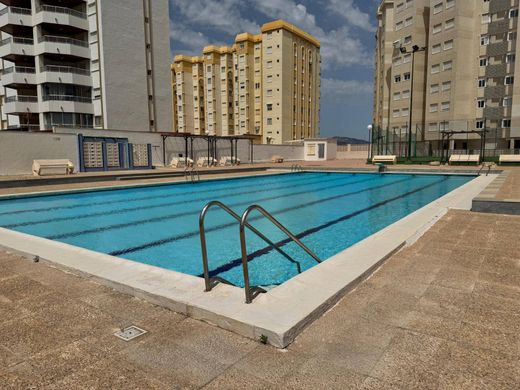 Apartment in Gandia, Valencia