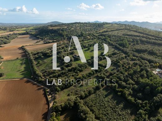 Land in Manacor, Province of Balearic Islands