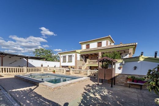 Detached House in Albolote, Granada