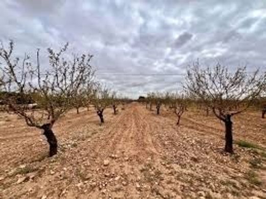 地皮  穆尔西亚, Murcia