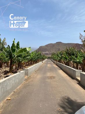 Rural or Farmhouse in Arona, Province of Santa Cruz de Tenerife