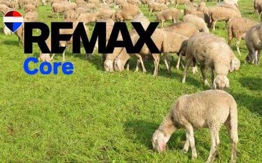 Land in Zorita, Caceres