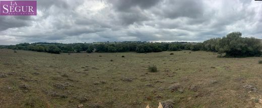 Arsa Vejer de la Frontera, Provincia de Cádiz