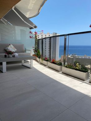 Apartment in Benidorm, Alicante