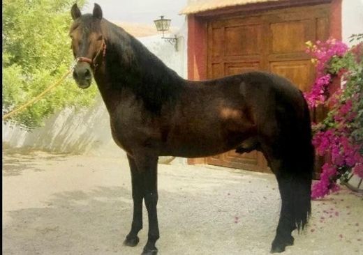 Boerderij in Murcia, Región de Murcia