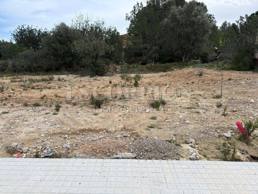 Land in Bétera, Valencia