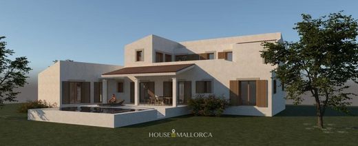 토지 / Binissalem, Illes Balears