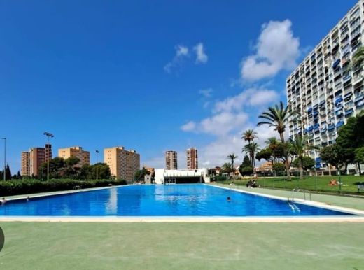 Apartment in Benidorm, Alicante