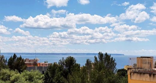 Apartment in Palma de Mallorca, Province of Balearic Islands