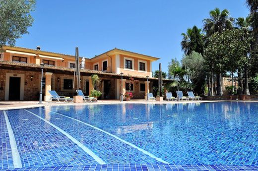 Rustykalny lub Wiejski w Sencelles, Illes Balears