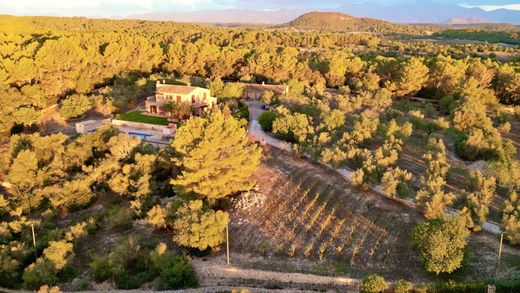 Petra, Illes Balearsのカントリー風またはファームハウス