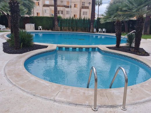 Apartamento - Torrevieja, Provincia de Alicante