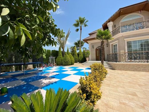 Villa in Benijofar, Provincia de Alicante