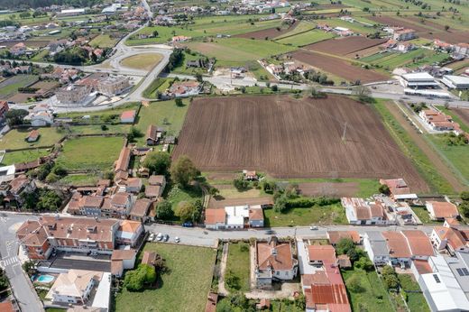 Terreno - Águeda, Aveiro