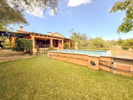 Pollença, Illes Balearsのカントリー風またはファームハウス