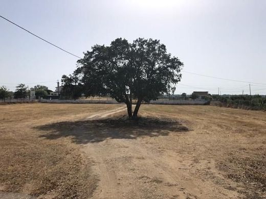 Участок, Palmela, Distrito de Setúbal