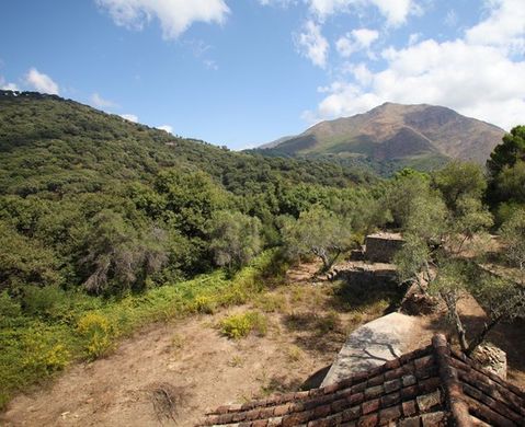 Rural or Farmhouse in Casares, Malaga