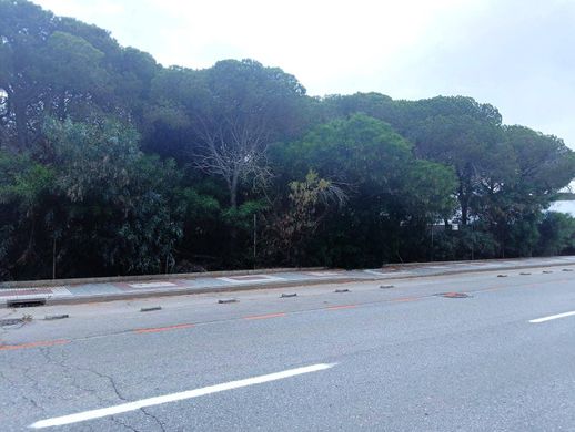 Terreno a Chiclana de la Frontera, Cadice