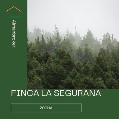 Land in Almansa, Albacete