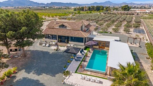Rural or Farmhouse in Murcia
