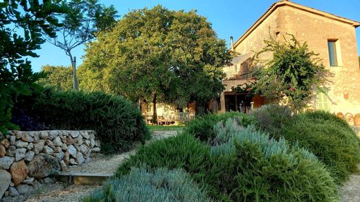 パルマ・デ・マリョルカ, Illes Balearsのカントリー風またはファームハウス