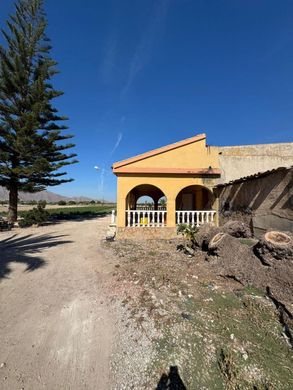 Rustykalny lub Wiejski w Granja de Rocamora, Provincia de Alicante