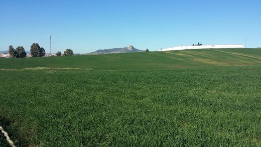 Rustico o Casale a Peñarroya-Pueblonuevo, Cordova