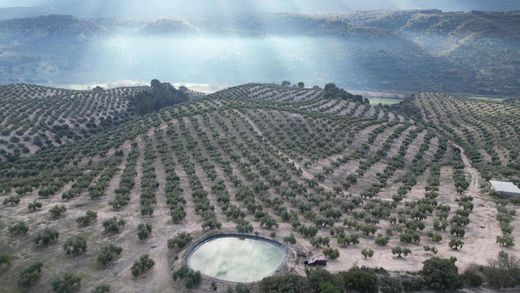 Grundstück in Iznalloz, Granada