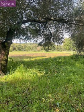 Arsa Vejer de la Frontera, Provincia de Cádiz